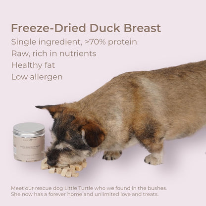 BLACK FOX Freeze-Dried Duck Breast Dog Treats | Cat Treats | 2oz Single Ingredient, Raw, Healthy, All Natural, Human Grade, Recyclable Packaging