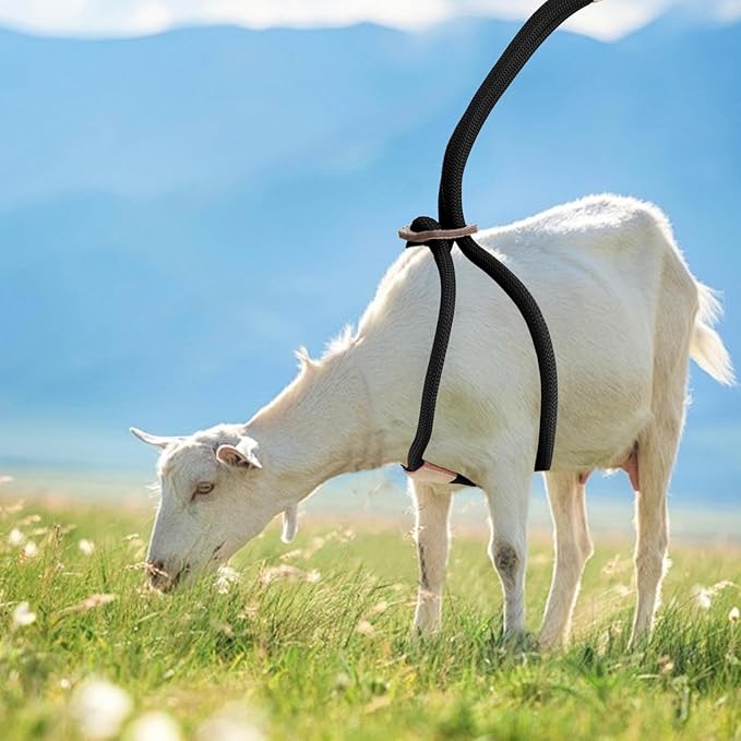 Goat Harness, Goat Supplies, Goat Harness for Walking, Washable Goat Leash, Goat Accessories, Livestock Supplies for Goats, Sheeps