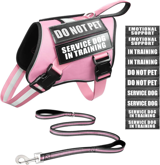 Service Dog Vest Harness and Leash Set+10 Patches,No Pull&Easy Walk Reflective Dog Harness with Soft Padded Handle for Training/Everyday,Fit Small/Medium/Large/Extra-Large Dogs(Pink S)