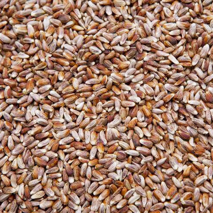 Co. 20-Pound Bag Nutra-Saff Safflower Seed Wild Bird Food Seed