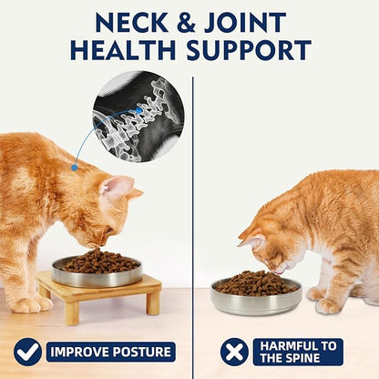 Elevated Cat Bowls for Indoor Cats – Raised Bamboo Cat Bowl Stand with 5.5 Inch Wide Stainless Steel Dishes, Pet Food Table Plate for Easy Feeding, Whisker Friendly(Silver,Set of 2)