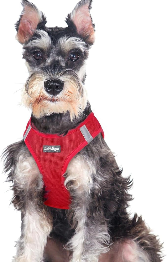 rabbitgoo Small Dog Harness, Step-in Soft Mesh Puppy Vest with Safety Buckle, Breathable Reflective Pet Harness for Large Dogs, Red XXL