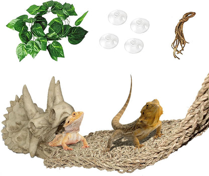 PINVNBY Reptile Dinosaur Skull Decor,Bearded Dragon Tank Accessories,Reptiles Resin Triceratops Skull Cave Lizard Hammock Amphibians Habitat Hideouts Decorations for Lizards Spider Gecko Chameleon