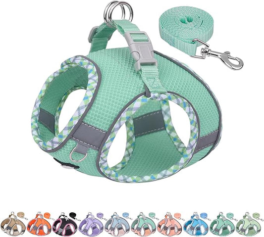 AIITLE Tiny Dog Harness - Lightweight Mesh Step-in Vest for Puppy, Reflective & Escape-Proof Design with High-Stick Magic Tape - Indoor/Outdoor Use for Chihuahua, Maltese, Shih Tzu(Turquoise, XXXS)