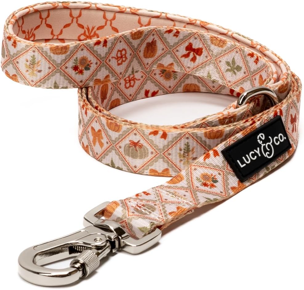 Lucy & Co. 5 Foot Designer Dog Leash for Small, Medium or Big Dogs or Puppies Puppy – Pet Accessories & Supplies- Small-Orange Cream Pumpkin