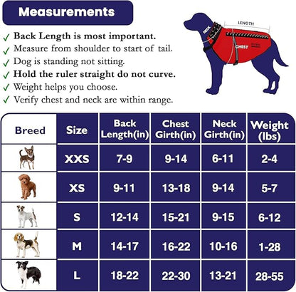 CoyoteVest SpikeVest Dog Harness Vest for Small Dogs, Reflective Dog Vest with Spikes to Shield Your pet from Coyotes, Raptor and Animal Attacks, Anti Hawk Vest, Made in USA (S-Royal Blue)