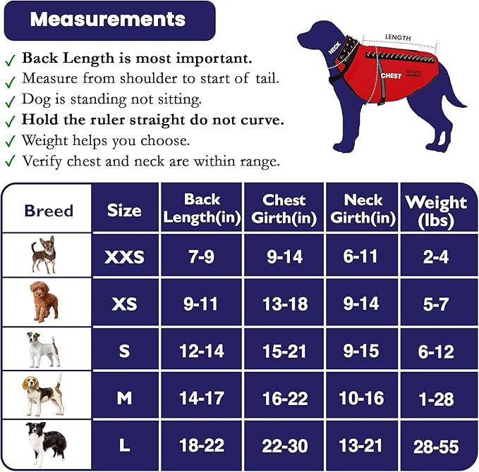 CoyoteVest SpikeVest Dog Harness Vest for Small Dogs, Reflective Dog Vest with Spikes to Shield Your pet from Coyotes, Raptor and Animal Attacks, Anti Hawk Vest, Made in USA (M-Royal Blue)