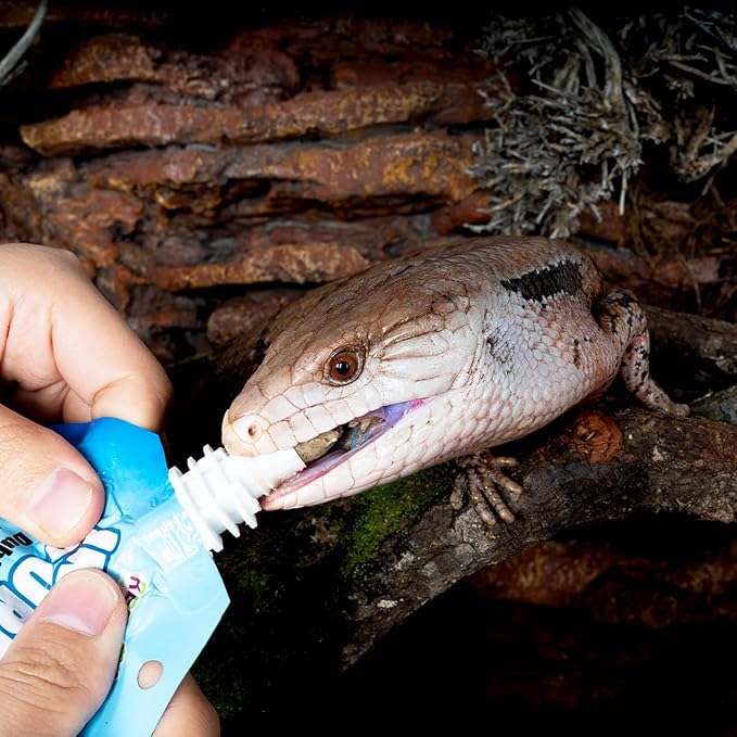 Crested Gecko Food Insect Puree, Dubia Paste Reptile Food Made with Fresh Insects 2.82oz