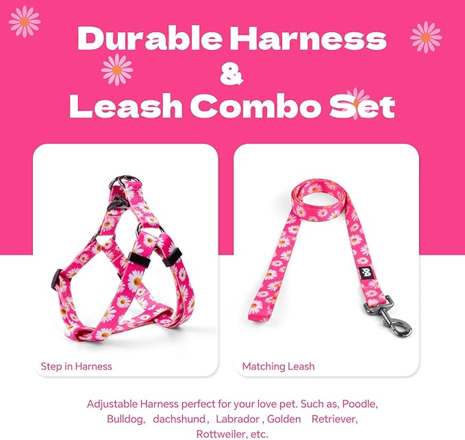 QQPETS Dog Harness Leash Set Adjustable Heavy Duty No Pull Halter Harnesses for Small Medium Large Breed Dogs Back Clip Anti-Twist Perfect for Walking (XS(12"-18" Chest Girth), Daisy)