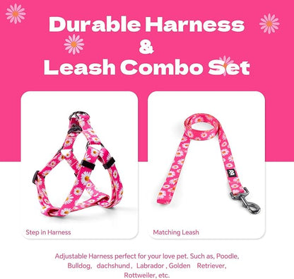 QQPETS Dog Harness Leash Set Adjustable Heavy Duty No Pull Halter Harnesses for Small Medium Large Breed Dogs Back Clip Anti-Twist Perfect for Walking (XS(12"-18" Chest Girth), Daisy)
