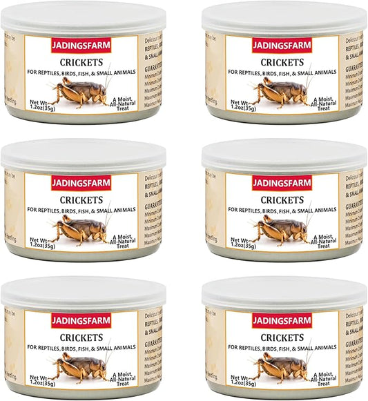 6 Pack Canned Crickets for Reptiles, Fish, Birds and Small Animals, Crickets, Healthy High Protein Treat, Reptile Bird Fish Food 1.2 Ounces Each