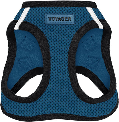 Best Pet Supplies Voyager Step-in Air Harness - All Weather Mesh, Reflective, No Pull Harness for Dogs, Cats - Secure with Hook & Loop Fastener, Buckle, Double D-Rings - Blue/Black Trim, XXS