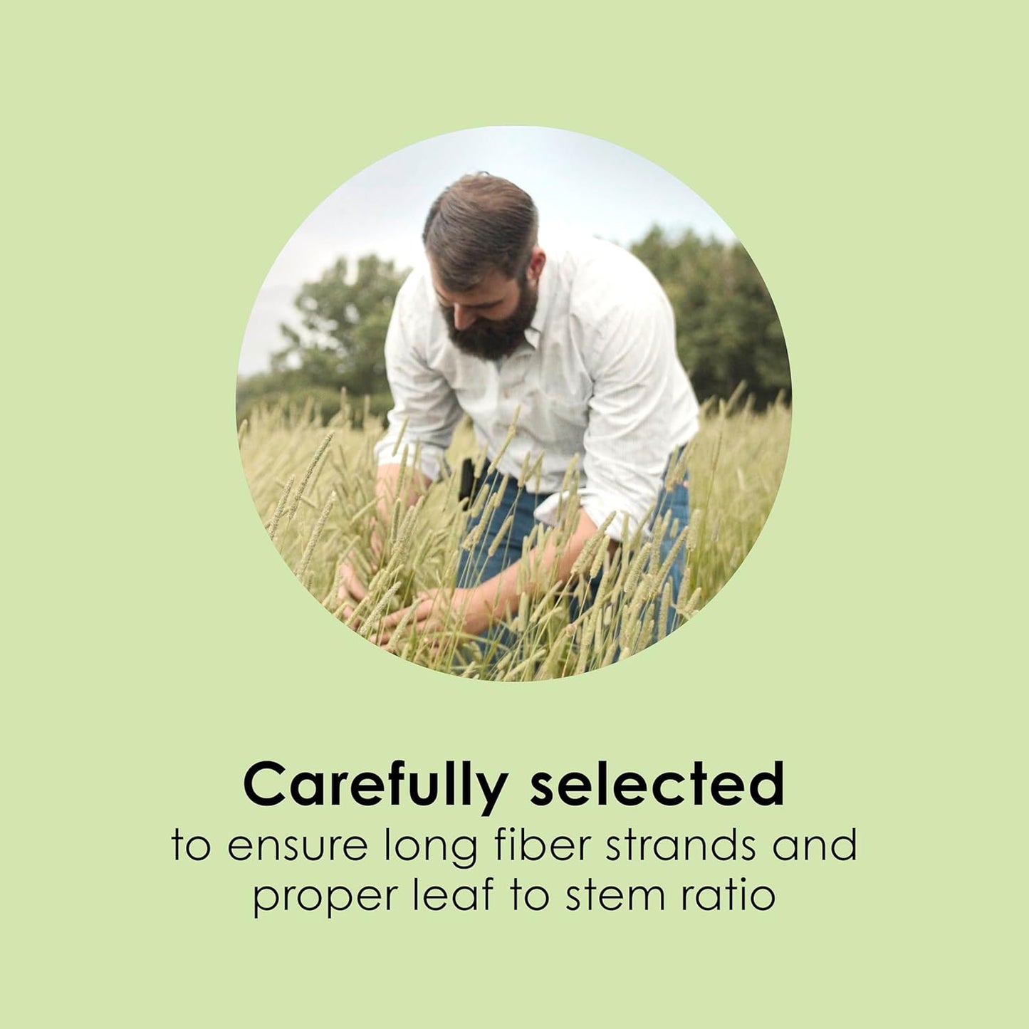 Kaytee Timothy Hay, High Fiber, Grown Specifically for Small Animals, Rabbits, Guinea Pigs, Chinchillas, 2 Pounds