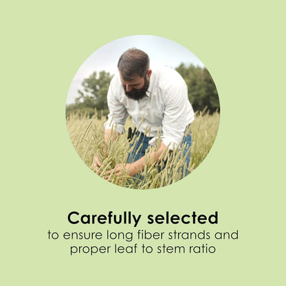 Kaytee All Natural Timothy Hay for Guinea Pigs, Rabbits & Other Small Animals, 6 Pound