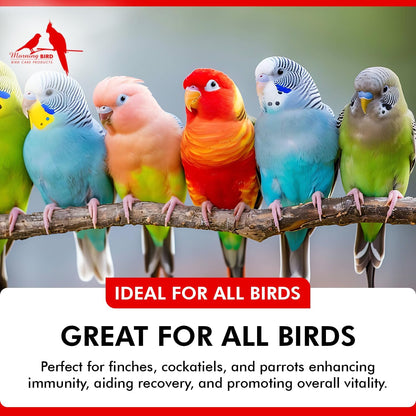 Morning Bird Spirulina 1 Oz Supplement for Caged Birds, Organic Bird Food Supplement with Vitamins, Proteins, and Amino Acids for Parakeets, Cockatiels, Budgies, Finches, Canaries, and Parrots