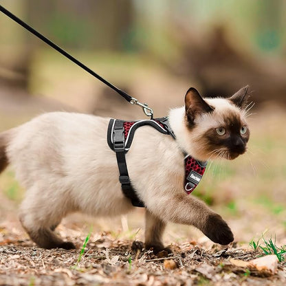 Cat Harness and Leash for Walking Escape Proof Soft Adjustable Cat Leash Breathable Honeycomb Structure Comfortable Vest Easy to Wear Kitten Harness for Outdoor Travel, Honeycomb Red, XXS