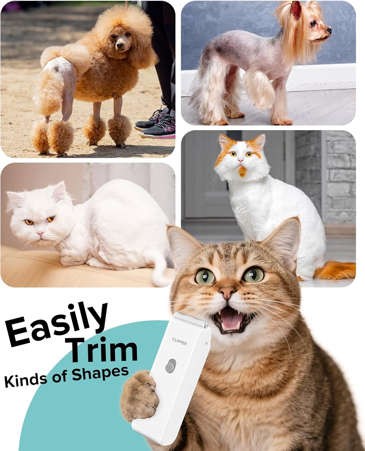 Pet Clippers for Dog Hair Grooming Low Noise, Rechargeable Cordless Cat Shaver with Ceramic Blade,Portable Pet Hair Trimmer for Matted & Long Hair