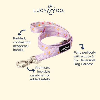 Lucy & Co. 5 Foot Dog Leash - Best Designer Dog Leash - Unicorn Magic, Small
