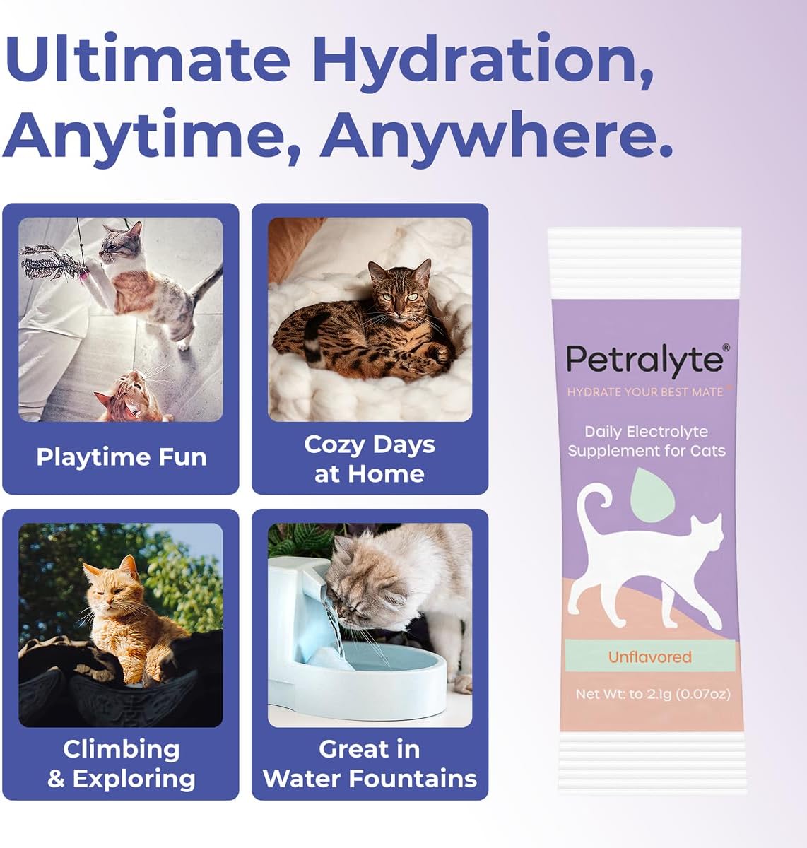 Petralyte Cat Hydration Electrolyte and Cat Joint Supplement | Hydration Support for Cats w/Glucosamine, Chondroitin, L-Glutamine, Taurine, Lysine & Prebiotics | Unflavored | 32 Packets