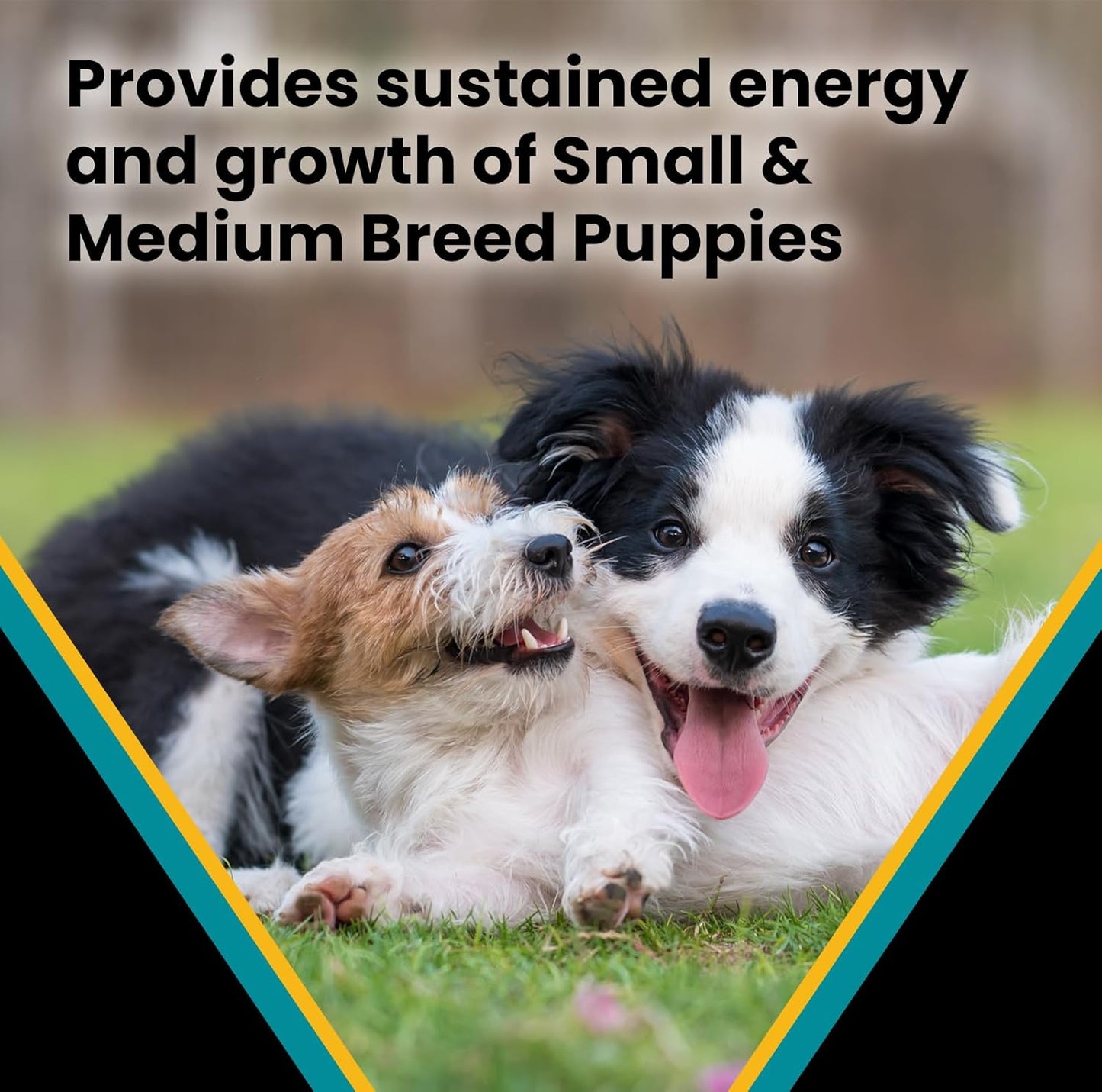 VICTOR Classic - Hi-Pro Small & Medium Breed Puppy, 5-lb