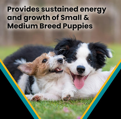 VICTOR Classic - Hi-Pro Small & Medium Breed Puppy, 5-lb