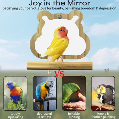 Wooden Bird Mirror with Perch for Cage, Parakeet Toys, Budgie Interactive Toys,Bird Cage Accessories for Parrots Cockatiel Conure Lovebirds Finch Canaries