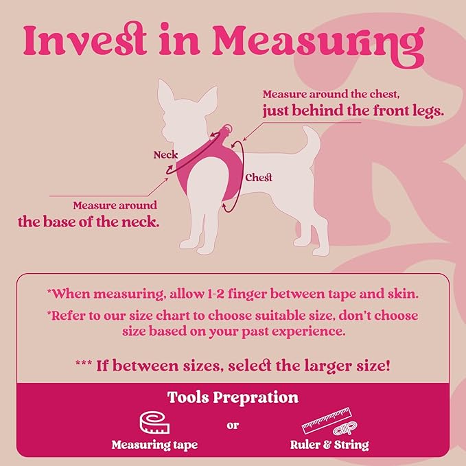 rabbitgoo Small Dog Harness, Step-in Soft Mesh Puppy Vest with Safety Buckle, Breathable Reflective Pet Harness for Extra Small Dogs, Rose Red XXS