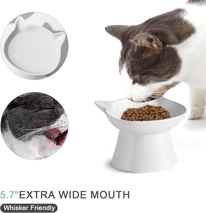 Ceramic Elevated Cat Bowl, Raised Cat Food Water Bowl for Indoor Cats with Stand, Titled Anti-Vomiting Cat Dish，Whisker Friendly, All Life Stage