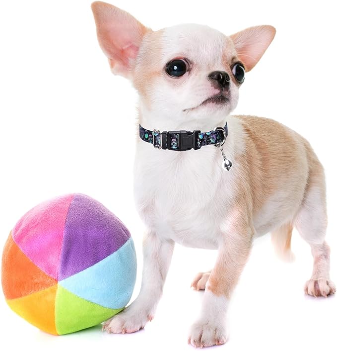 Skull Dog Collar with Bell, Pretty Cool Boy Cat Collar Tiny Puppy Collars with Bells for Xs Small Pet Male Dogs Kitten Little Animal, XSmall