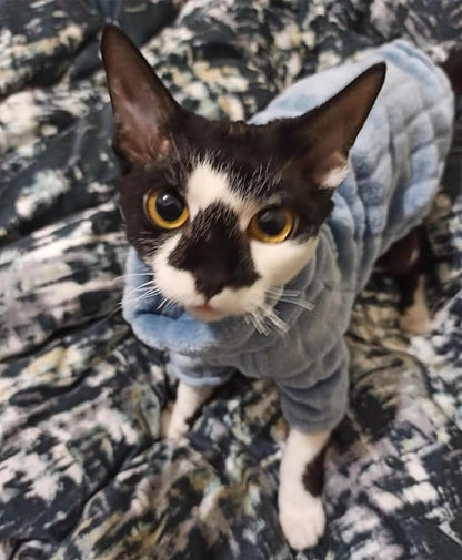 Turtleneck Sweater for Sphynx Cat Soft Coral Fleece Cat Clothes Thick Winter Warm Outfit Coat for Hairless Cats and Small Dogs Apparel with Sleeves (Blue, XL (9-13 lbs))