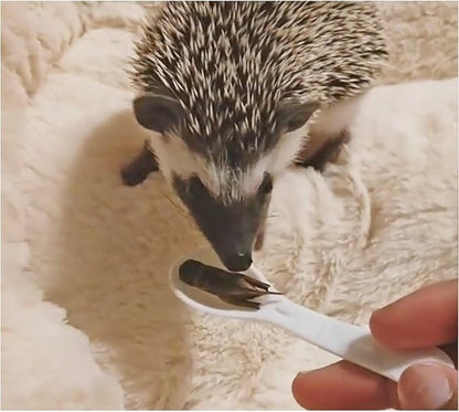 Groovy Grasshoppers (2 PACK)- All Natural Healthy High Protein Insect Treat - Chickens, Birds, Hedgehogs, Bluebirds, Reptiles, Sugar Gliders, Opossums, Skunks, Lizards, Turtles, Amphibians (2.8 oz.)