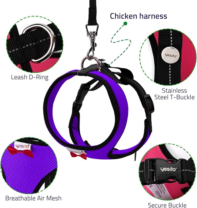 Adjustable Chicken Harness Diaper (5.4ft Leash) – Breathable & Washable Secure Training for Hens, Ducks & Chicks | Outdoor Walking & Discipline Solution
