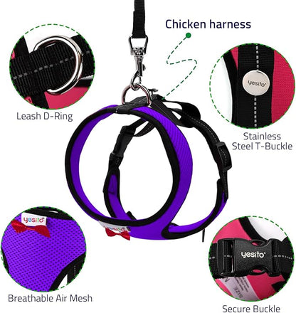 Adjustable Chicken Harness Diaper (5.4ft Leash) – Breathable & Washable Secure Training for Hens, Ducks & Chicks | Outdoor Walking & Discipline Solution