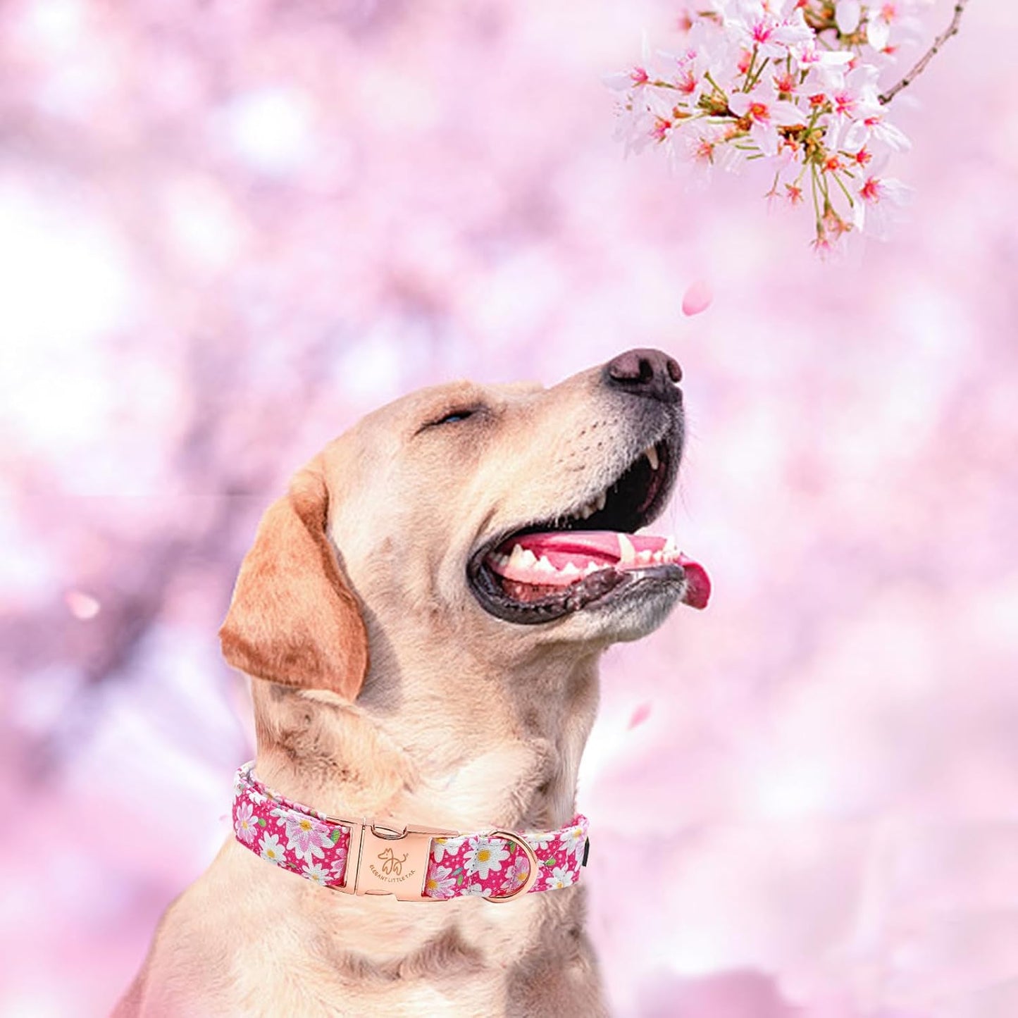 Elegant little tail Dog Collar, Pink Floral Pattern Pet Collar Durable Cute Dog Collars Summer Female Pet Gift Adjustable Dog Collar for Small Dogs