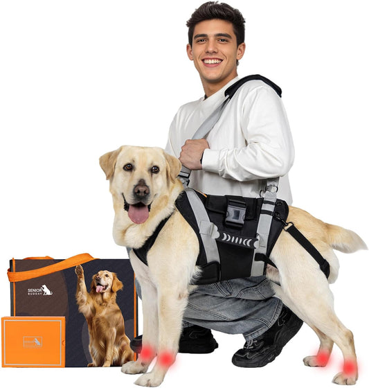 Dog Lift Harness for Large Dogs,Full Body Dog Sling Carrier with Handle,for Up Stair/Back Legs Support/Dogs Joint Injuries/Arthritis (XX-Large)