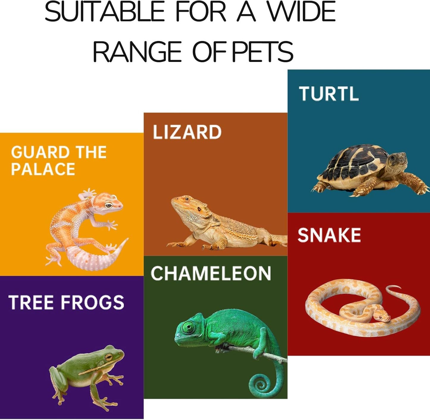 Reptile Hide for Leopard Gecko, Bearded Dragon, Ball Python Decoration & Tortoise – Terrarium Habitat Décor,Snake & Lizard Hideout(Resin, Medium)