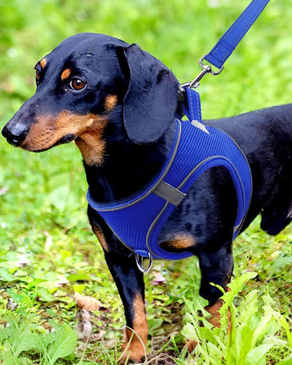 Joytale Small Dog Harness, Breathable Mesh Step-in Vest, Reflective Soft Padded Harnesses for Small and Medium Dogs, Navy Blue, M