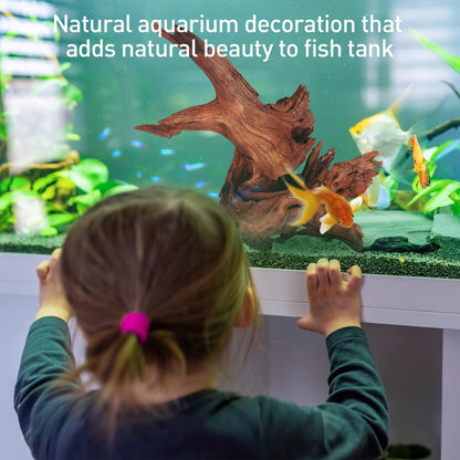 WDEFUN Natural Driftwood for Aquarium Decor, 2-Piece 10''-14'' Large Driftwood for Decorations on Fish Tank, Reptiles Bearded Dragon Accessories or Air Plants