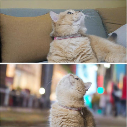 Rhinestone Cat Collar Breakaway Safety Buckle with Bell, Adjustable Diamond Girl Boy Kitty Cute Comfy Collar for Kitten Small Pets Rabbits, 7.5"-11" Purple