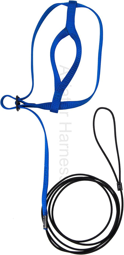 The AVIATOR Pet Bird Harness and Leash: Small Blue