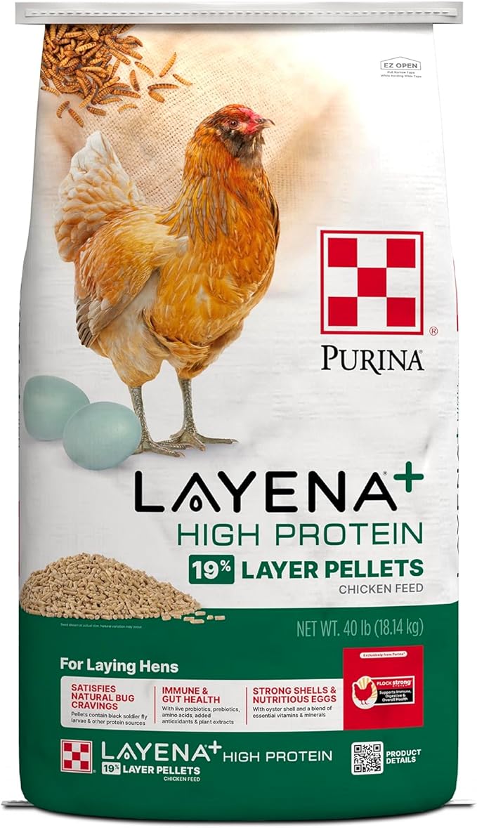 Purina Layena + High Protein Layer Chicken Feed (40 Pound)