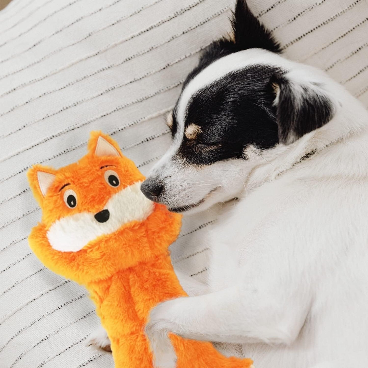 Jalousie 5 Pack 12'' Dog Toys Assortment - Plush Squeaky Toys for Medium to Large Breeds - Raccoon, Elk, Hippo, Fox, Sloth