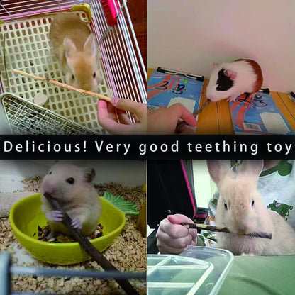 Natural Apple Sticks, 300g Treats Food for Small Animals, Chew Toys for Chinchilla Guinea Pigs Rabbit Squirrel Hamster Bunny