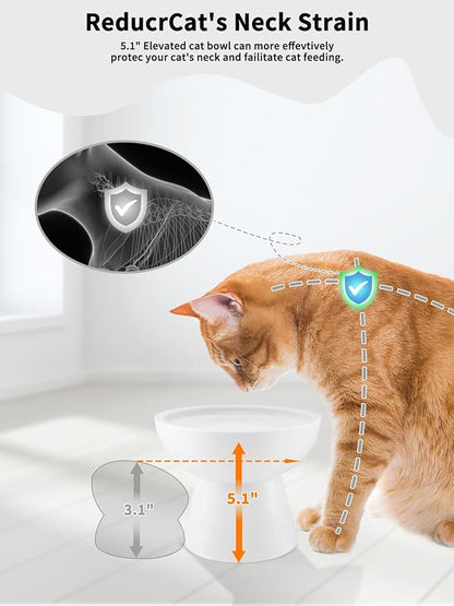 LoeJan Elevated Cat Food and Water Bowls Set, Extra Wide and Raised Ceramic Bowls, Anti-Vomit Whisker-Free Pressure Cat Feeder for Kittens to Adult Cats and Small Dogs (White, Water Bowl)