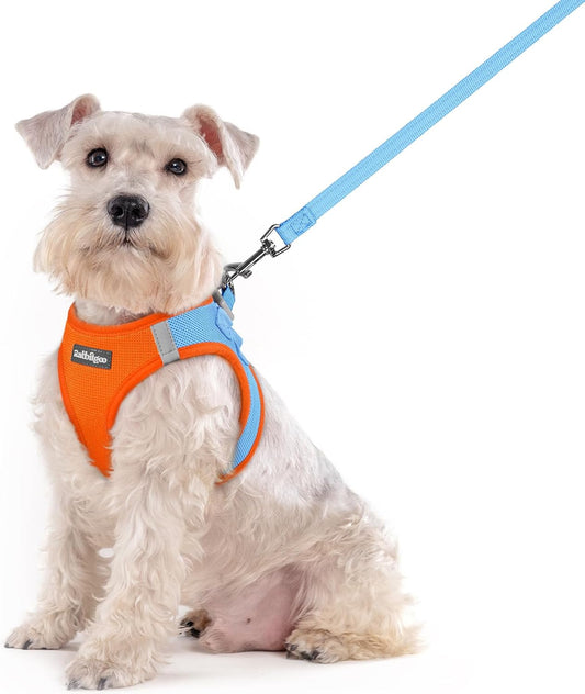 rabbitgoo Dog Harness Medium Sized and Leash Set, Step in Soft Light Puppy Vest, Breathable Mesh Pet Harness, Reflective for Safe Easy Walking, Blue & Orange XXL