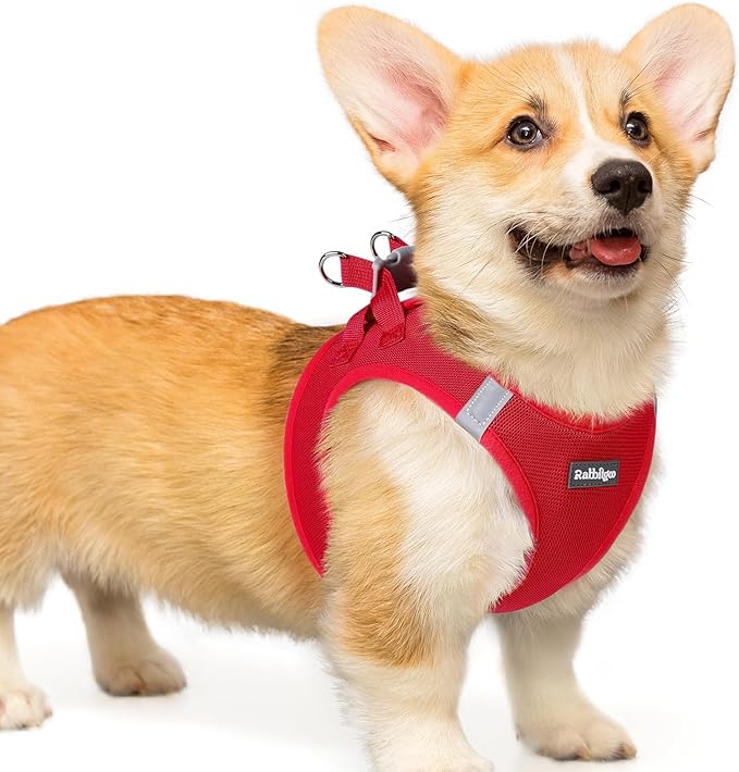 rabbitgoo Small Dog Harness, Step-in Soft Mesh Puppy Vest with Safety Buckle, Breathable Reflective Pet Harness for Small Medium Dogs, Red L