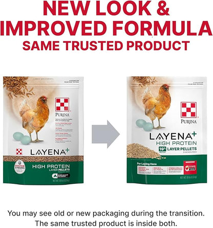 Purina Layena + High Protein Layer Chicken Feed (10 Pound)