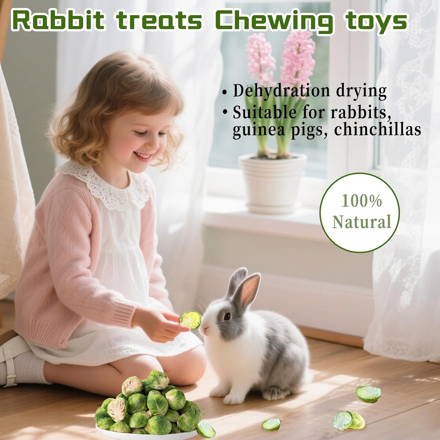 Hamiledyi Rabbit Treats Small Pets Chew Toys Bunnies Guinea Pigs Hamsters Chinchillas Rodents Dried Natural Mix Container Feeding Foraging Treats (9OZ)