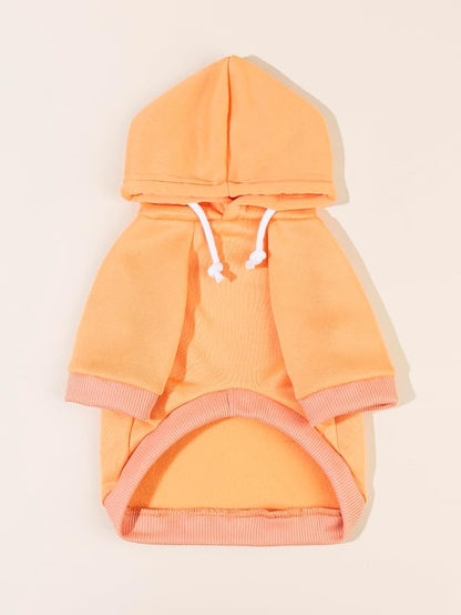QWINEE Basic Dog Hoodie Sweatshirt Puppy Sweater Warm Cat Costumes Pet Clothes for Chihuahua Puppy Kitten Small Medium Dogs Orange XX-Large