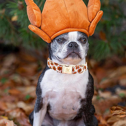 Elegant little tail Thanksgiving Dog Collar, Turkey Print Pet Collar Dog Durable Cute Dog Collars Winter Holiday Male or Female Pet Gift Adjustable Dog Collar for X-Large Dogs